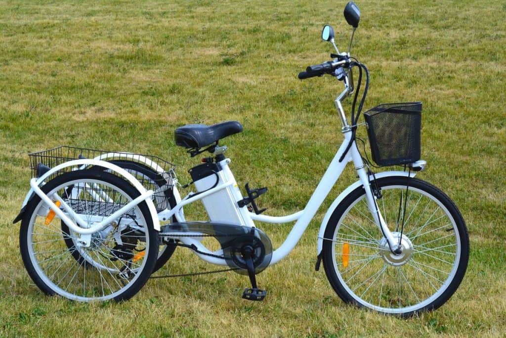 Easy E-Biking - electric trike nature, helping to make electric biking practical and fun