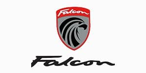 Easy E-Biking - Falcon e-bike logo, helping to make electric biking practical and fun